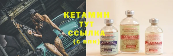 эйфоретик Бородино