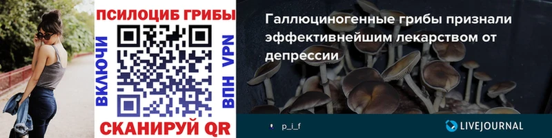 Купить  Магас  Псилоцибиновые грибы мицелий 
